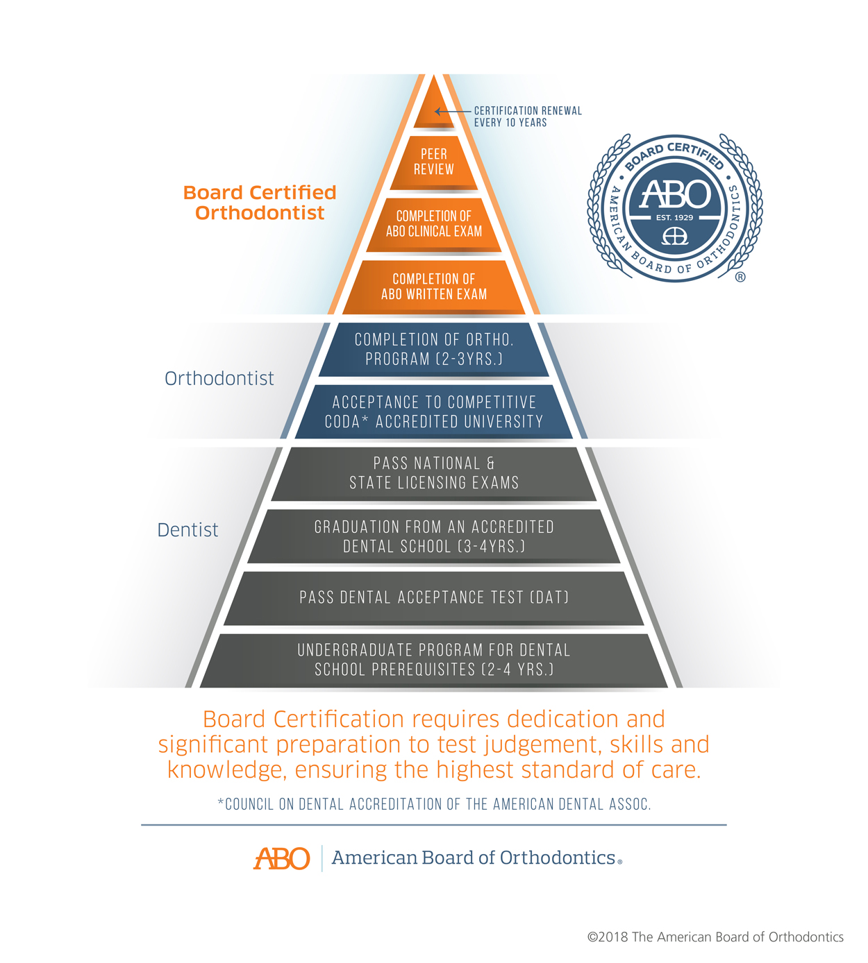 American Board of Orthodontics Infographic