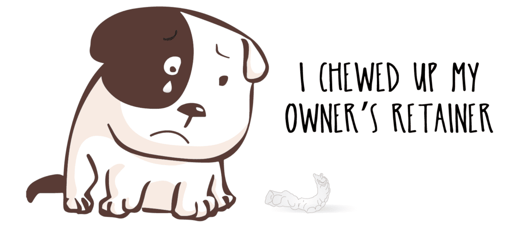 Screen Shot 2020-10-15 at 1.22.00 PM Dog chewed retainer Hughes Orthodontics in Alexandria, VA